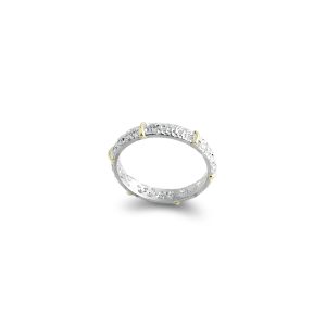 silver-with-gold-accents-ring